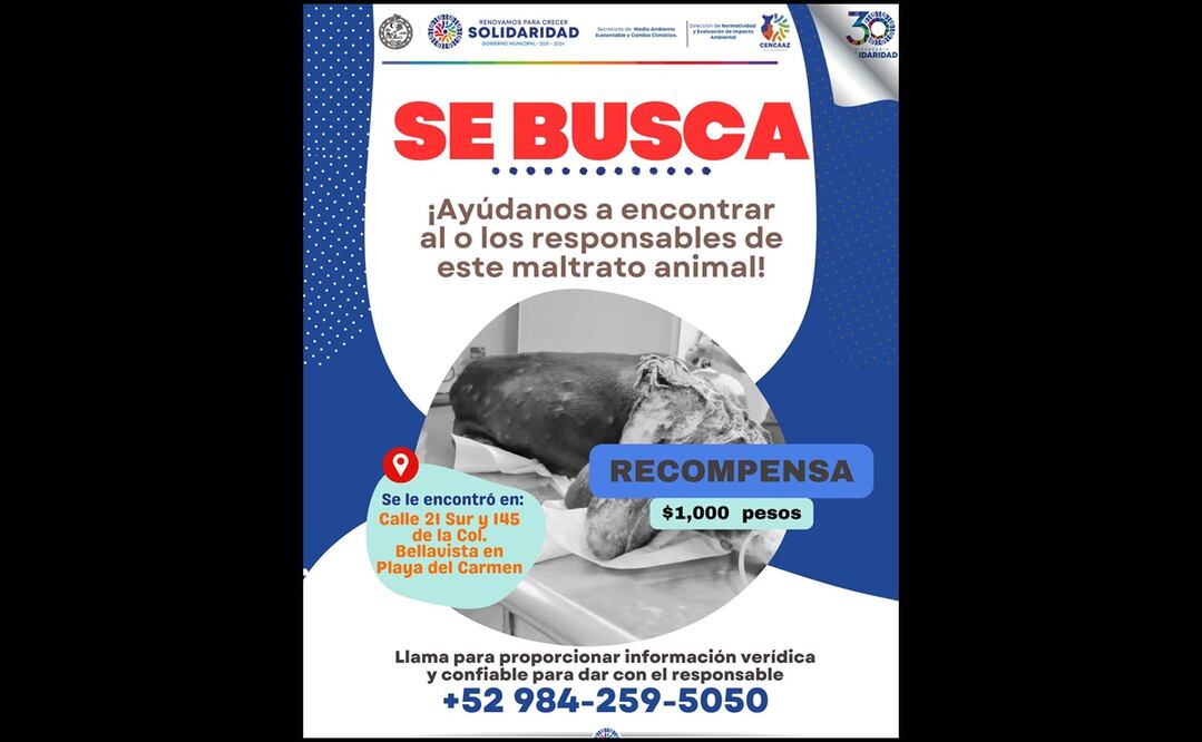 Foto: CEBIAM Solidaridad