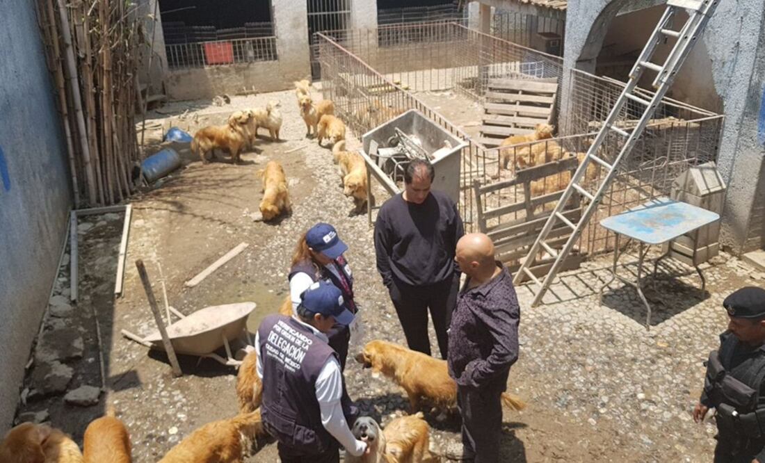 (Foto: Twitter @Del_Iztapalapa)