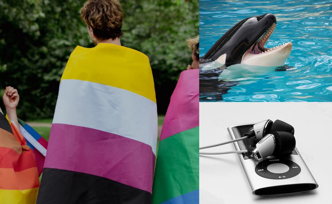 Conoce las efemérides de este 14 de julio. Foto: Canva / Pixabay