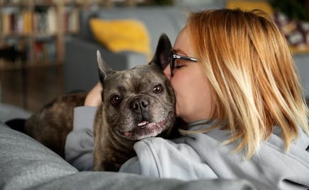 ¿Tu perro padece epilepsia? esta es la técnica que una etóloga recomienda para su tranquilidad; descubre cómo funciona