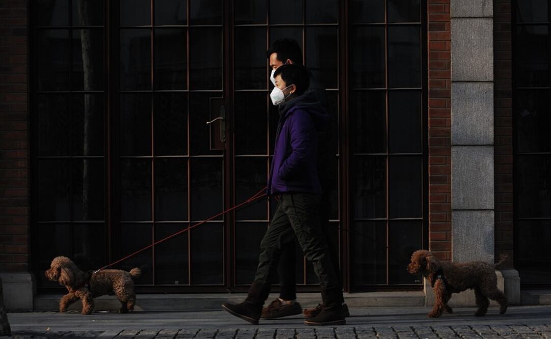 Foto: Ilustrativa. Pixabay