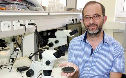 Hallazgo indica que agricultura inició hace 23 mil años