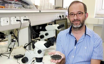 Hallazgo indica que agricultura inició hace 23 mil años