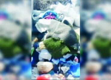 Joven mata a su madre y esconde el cuerpo una semana