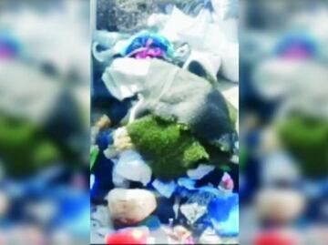 Joven mata a su madre y esconde el cuerpo una semana