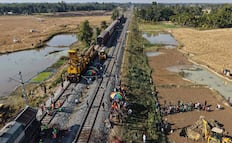 Tren de alta velocidad mata a 7 elefantes que cruzaban las vías en India; no hubo víctimas humanas