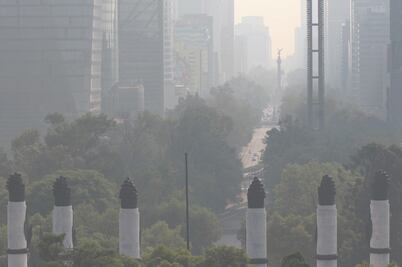 Juez da revés a Medio Ambiente 