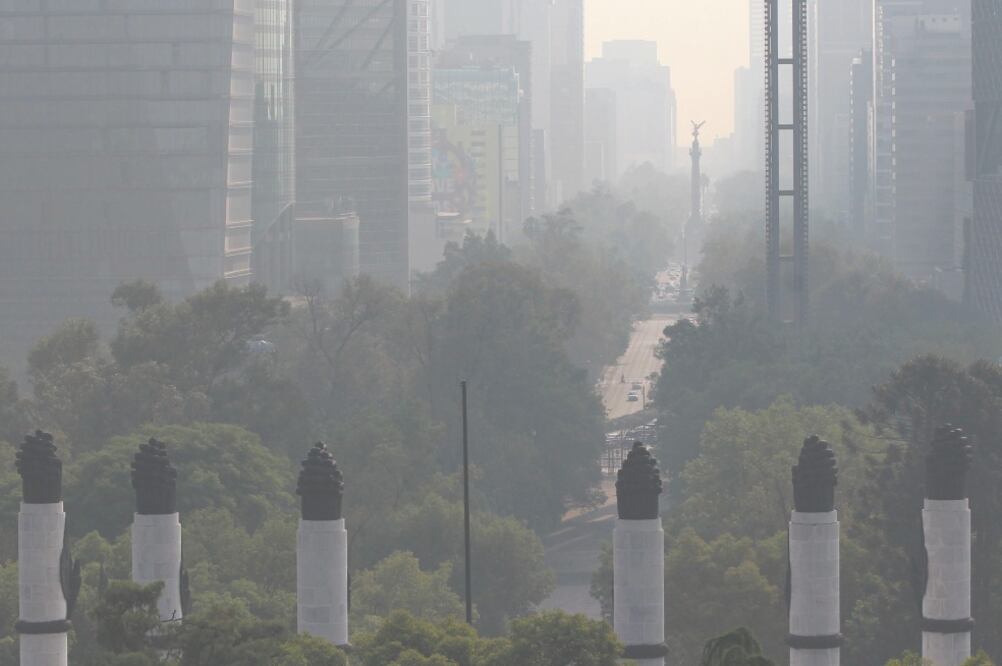 El juez Cuarto de Distrito en Materia Administrativa indicó que las autoridades pueden negarse a activar la contingencia cuando exista riesgo económico. Foto: ARCHIVO EL UNIVERSAL