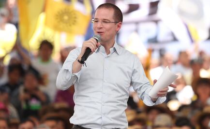 Teachers delay Anaya's trip to Oaxaca