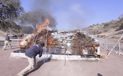 Guanajuato destruye más de 1.2 millones de dosis de droga; FGE incinera armas y objetos del delito