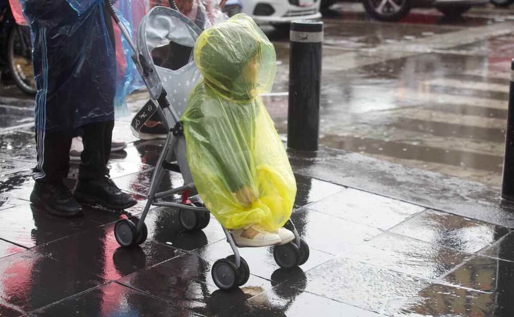 Foto: Yaretzy M. Osnaya/ EL UNIVERSAL