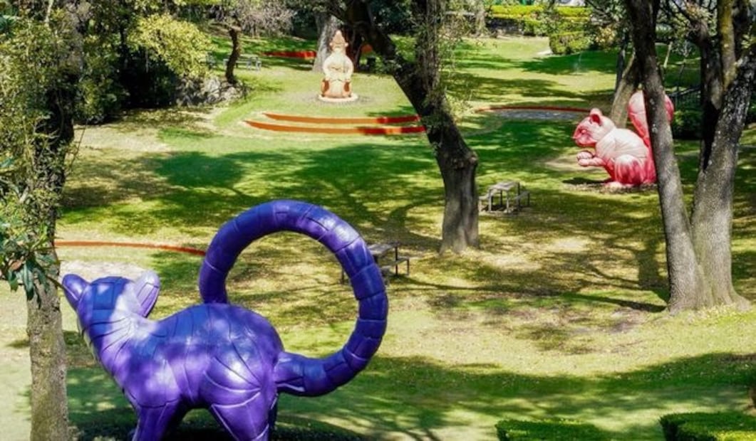 El Jardín Hondonada se encuentra dentro del Complejo Cultural Los Pinos y es un espacio natural para recorrer en calma. Foto: Gobierno de México