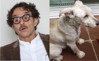 Quadri denuncia muerte de su perro "Vito"; ¿de cuánto es la multa por pasear a un canino sin correa en CDMX?
