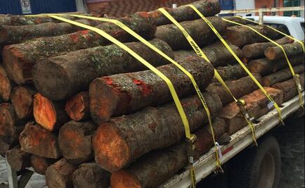 Aseguran 6.5 metros cúbicos de madera en Pico de Orizaba