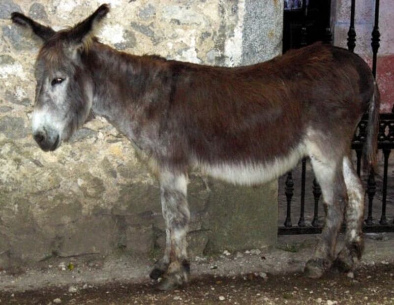 Las vidas de grandes y respetados artistas... que resultaron ser una farsa