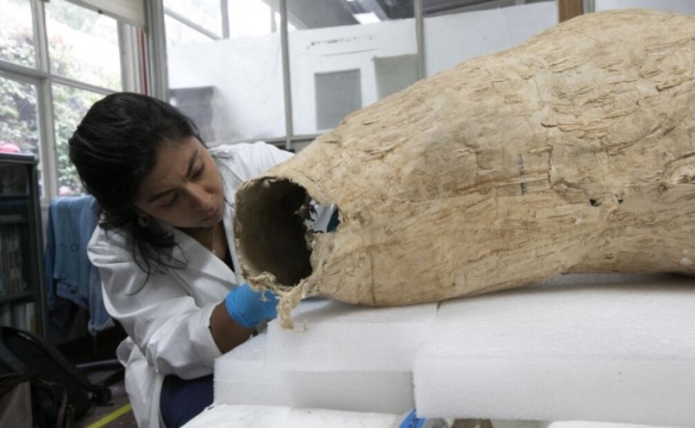 La restauración del Apóstol Santiago dañado por los sismos del 2017