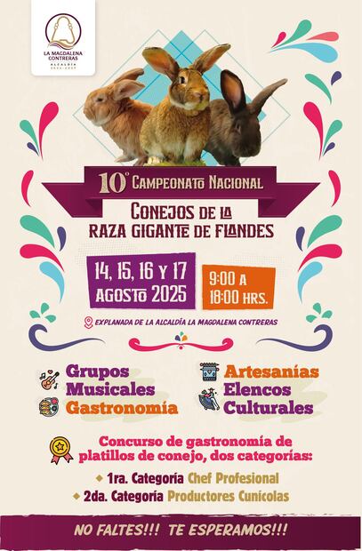 Magdalena Contreras celebra Campeonato Nacional de Conejos; exhibición, gastronomía y música en la décima edición. Foto: Especial