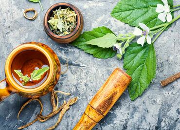 ¿Qué es la raíz de malvavisco y cómo se bebe?