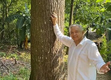 Mientras miles marchan en contra de su reforma electoral, AMLO festeja su cumpleaños en Palenque