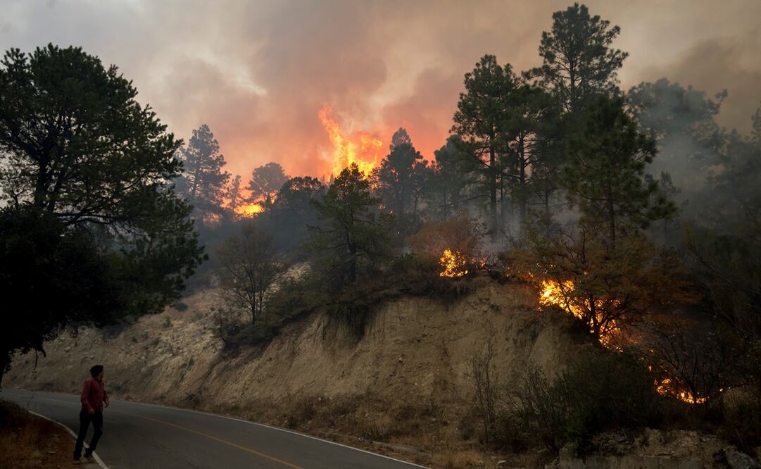 Un incendio en los límites de Coahuila y Nuevo León ha arrasado con más de 2 mil hectáreas de la sierra de Arteaga. Foto: EFE