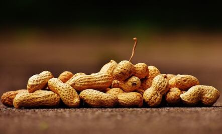 Por qué debes comer un puño de cacahuates diario