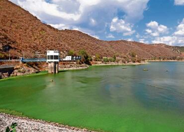 Se prenden las alertas por almacenamiento en Sistema Cutzamala; sus presas se encuentran muy por debajo del marcaje histórico: OCAVM