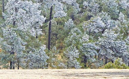 Por caída de aguanieve, activan alerta naranja en 5 alcaldías de CDMX