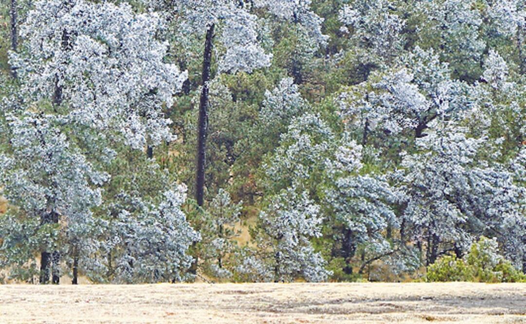 Fotografía: Archivo / EL UNIVERSAL