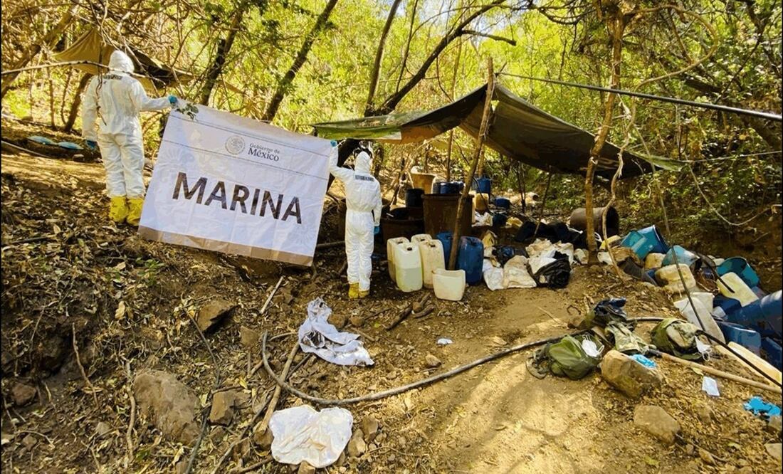 Gabinete de seguridad informa de decomisos de armamento y drogas en diferentes estados. Foto: Especial
