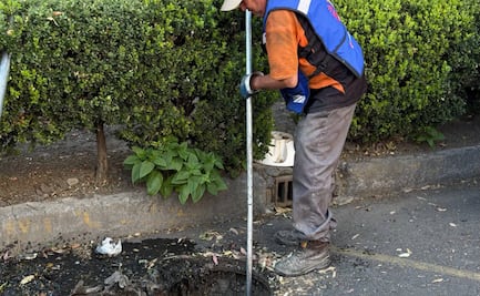 Alcaldía Cuauhtémoc realiza trabajos de desazolve en Tlatelolco; intervienen 26 puntos del drenaje