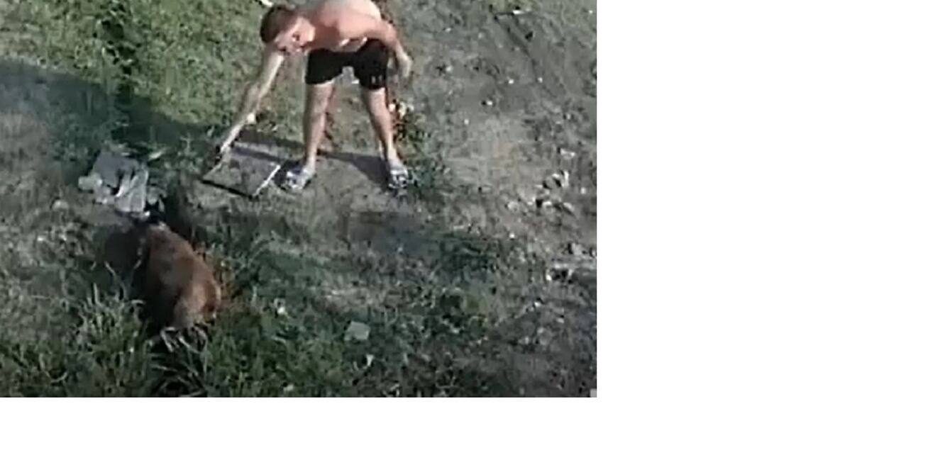 Foto: Captura de video