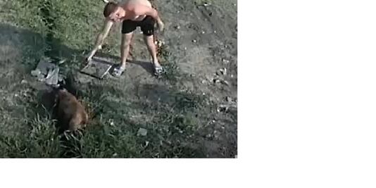 VIDEO: acribilla al perro de su vecina y la amenaza de muerte