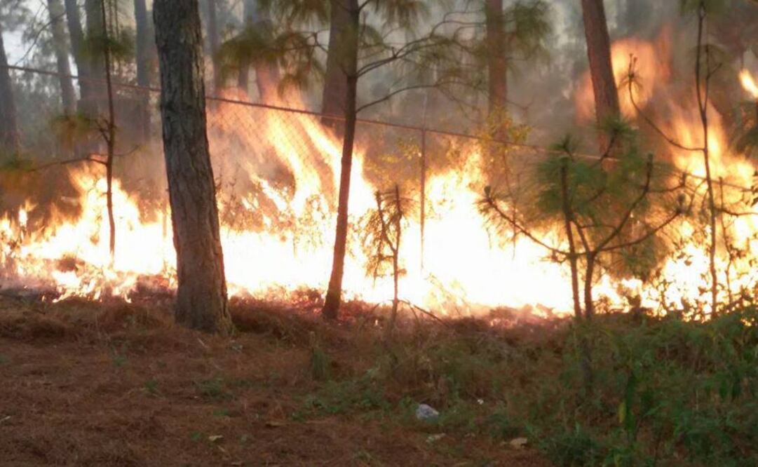 Foto: Carlos Arrieta / EL UNIVERSAL