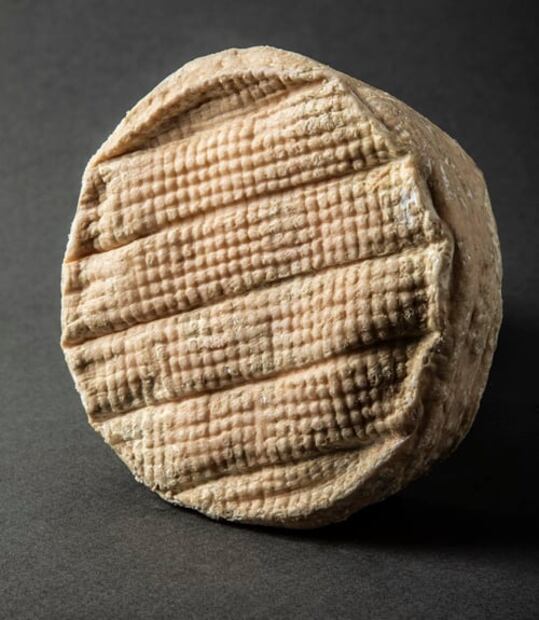 Los 4 quesos mexicanos que ganaron medallas en el World Cheese Awards 