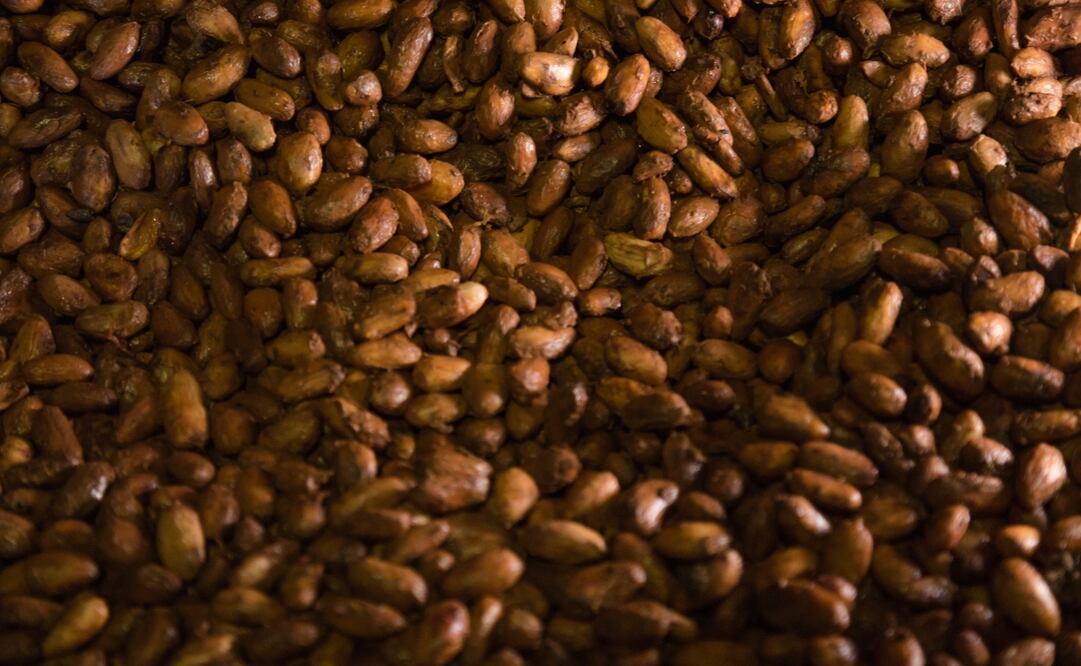 Prueba este chocolate con notas cítricas hecho en Ecuador. Foto: República del Cacao 