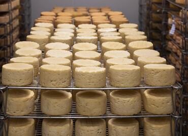 Visita el Festival del Queso Artesanal