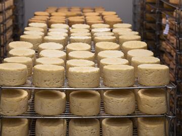 Visita el Festival del Queso Artesanal