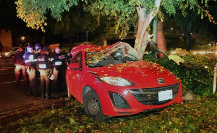 Choca contra árbol al esquivar cuerpo mutilado