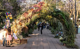 Cerrarán Masaryk por Festival de Flores y Jardines; Polanco será peatonal el fin de semana