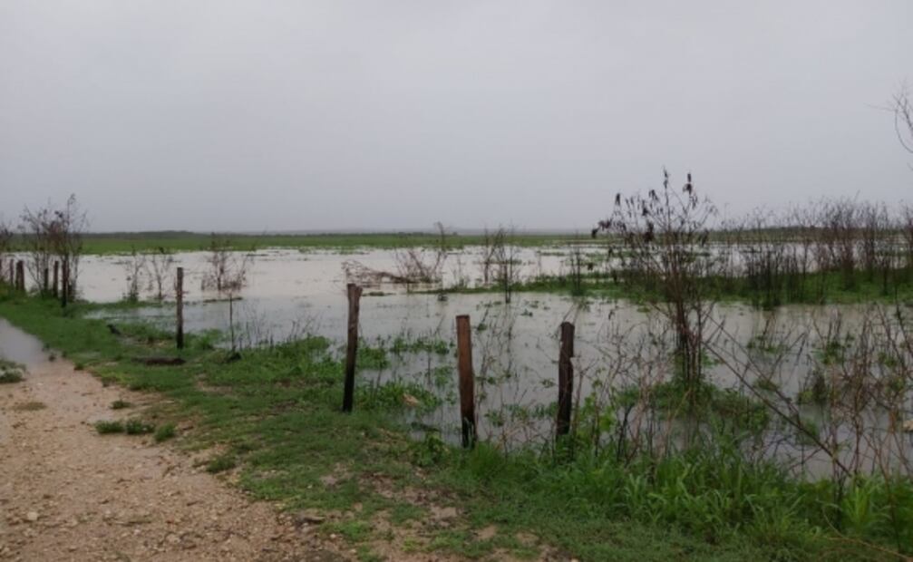 Se ahogan dos menores tras lluvias en Yucatán