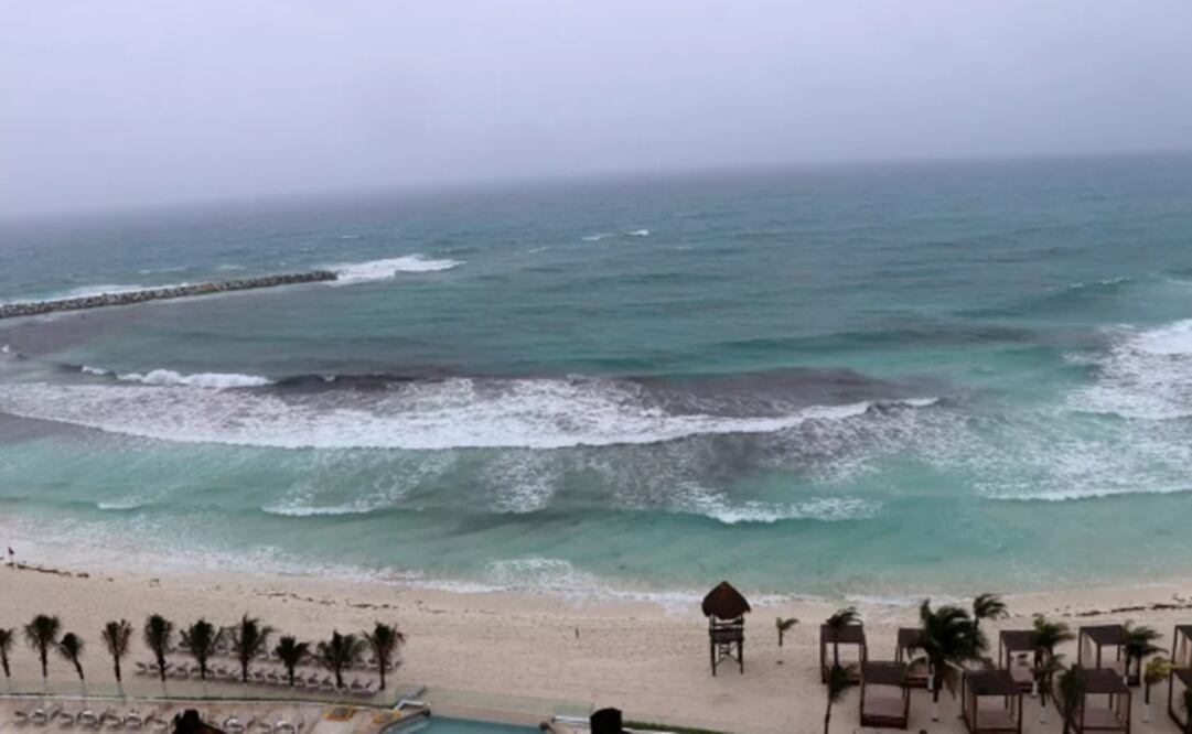 Seaweed is piling up in Mexican beaches, deterring tourism- Photo: REUTERS