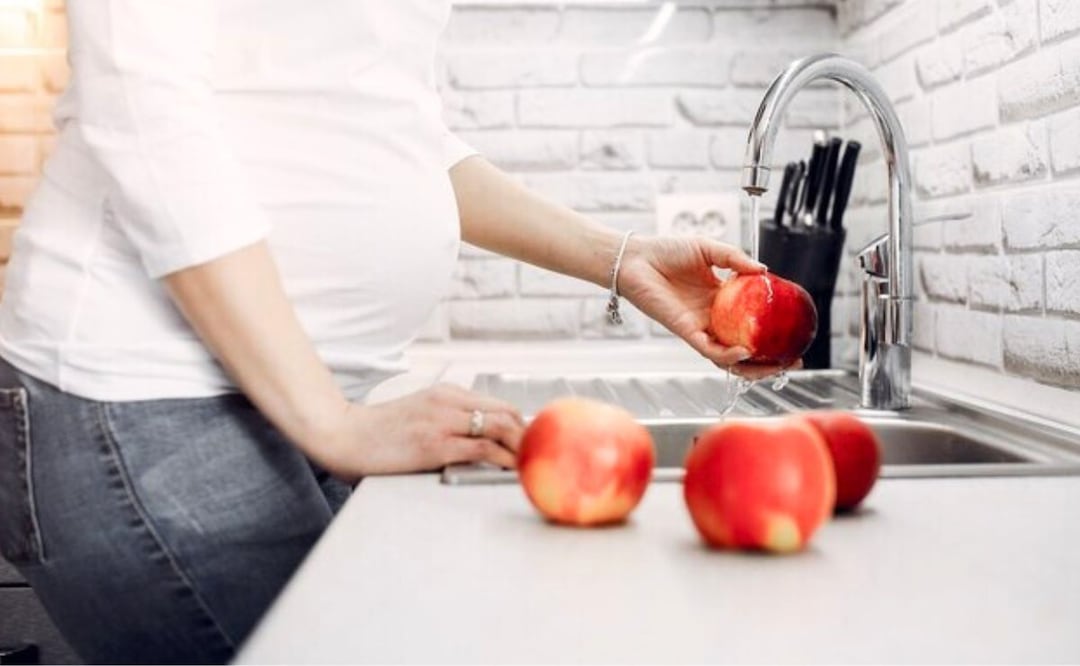 Harvard y la alimentación. Fuente: Freepik