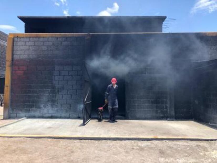 Perro rescatado en sismo es entrenado para ayudar a los bomberos