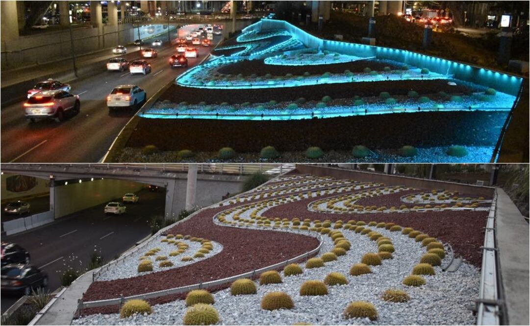 En el lugar también se colocaron 780 cactáceas de las cuales 25 son agaves y 755 grusoniis, estos últimos en peligro de extinción (Foto: Agencia de Gestión Urbana) 