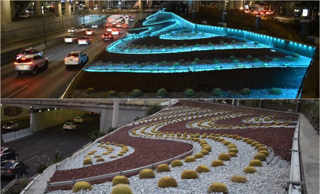 En el lugar también se colocaron 780 cactáceas de las cuales 25 son agaves y 755 grusoniis, estos últimos en peligro de extinción (Foto: Agencia de Gestión Urbana)