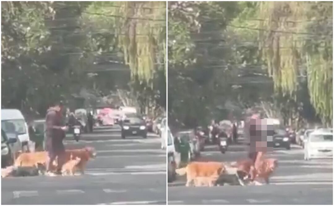 Internautas piden que sea identificado el presunto paseador. Foto: 'X'