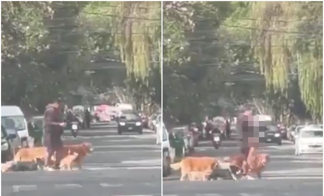 Internautas piden que sea identificado el presunto paseador. Foto: 'X'