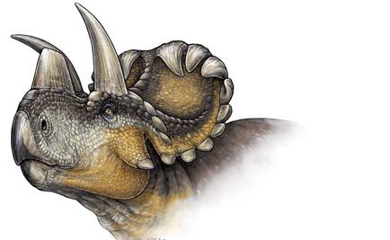 Wendiceratops, nueva especie de dinosaurio