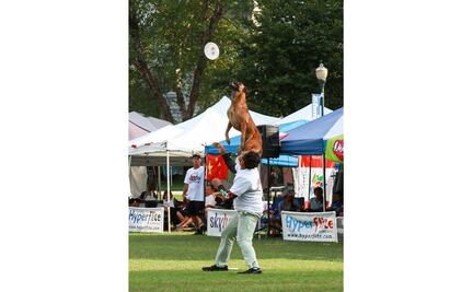 Matilda, perra mexicana gana campeonato mundial en EU