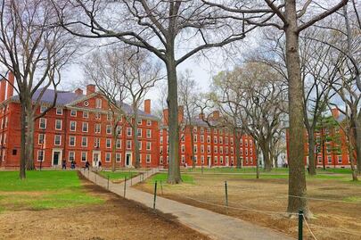 Trump da nuevo golpe a Harvard; le prohíbe inscribir a estudiantes extranjeros